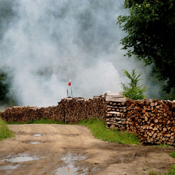 tyskowa2016c Tyskowa, wypał węgla, 2016 (foto: P. Szechyński)