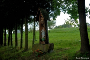 dkzagorz2017d Zagórz, droga krzyżowa Nowego Życia, 2017 (foto: P. Szechyński)