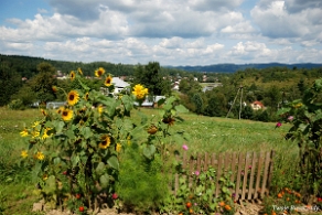 dkzagorz2017f Zagórz, droga krzyżowa Nowego Życia, 2017 (foto: P. Szechyński)