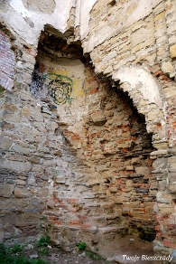 zagorz2010d Zagórz, ruiny klasztoru, schody, 2010 (foto: P. Szechyński)