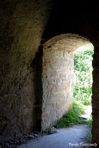 zagorz2010e Zagórz, ruiny klasztoru, 2010 (foto: P. Szechyński)