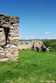 zagorz2010j Zagórz, ruiny klasztoru, 2010 (foto: P. Szechyński)