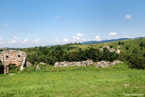 zagorz2010k Zagórz, ruiny klasztoru, 2010 (foto: P. Szechyński)