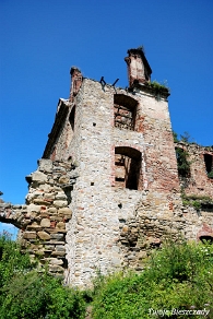 zagorz2010t Zagórz, ruiny klasztoru, 2010 (foto: P. Szechyński)