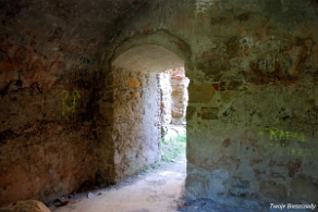 zagorz2010z1 Zagórz, ruiny klasztoru, 2010 (foto: P. Szechyński)