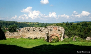 zagorz2010z4 Zagórz, ruiny klasztoru, brama główna, 2010 (foto: P. Szechyński)