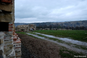 zagorz2014d Zagórz, ruiny klasztoru, 2014 (foto: P. Szechyński)