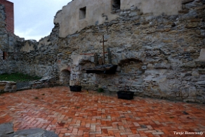 zagorz2014m Zagórz, ruiny klasztoru, 2014 (foto: P. Szechyński)