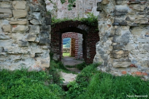 zagorz2017l Zagórz, ruiny klasztoru, 2017 (foto: P. Szechyński)