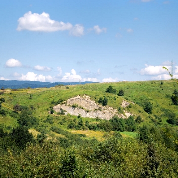 zagorz2010z92 Zagórz, widok od bramy głównej ruin klasztoru, 2010 (foto: P. Szechyński)