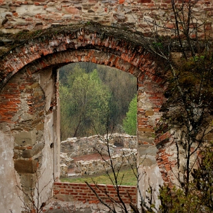zagorz2014j Zagórz, ruiny klasztoru, 2014 (foto: P. Szechyński)