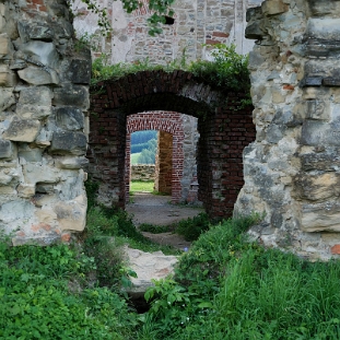 zagorz2017l Zagórz, ruiny klasztoru, 2017 (foto: P. Szechyński)