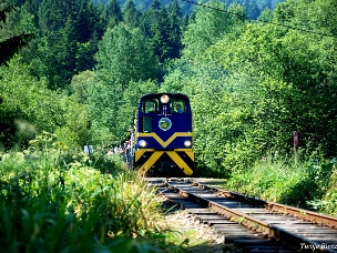 Bieszczadzka Kolejka Leśna Tabor, infrastruktura i torowiska bieszczadzkiej wąskotorówki