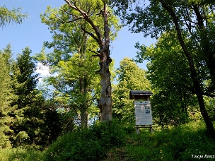Cmentarze i cerkwiska Cerkwiska i cmentarze we wsiach nieistniejących a także czynne obecnie