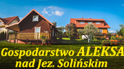 Gospodarstwo Aleksa