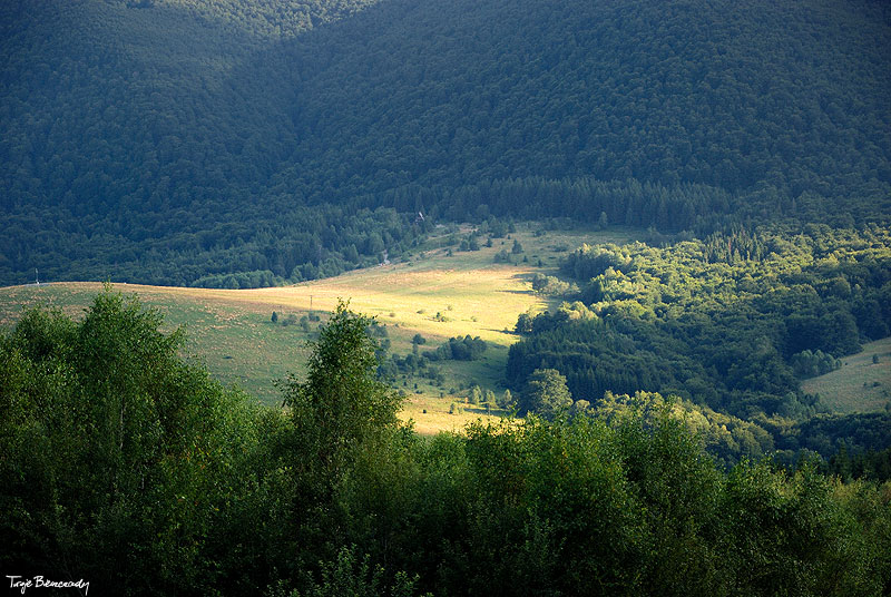 Po�onina Cary�ska