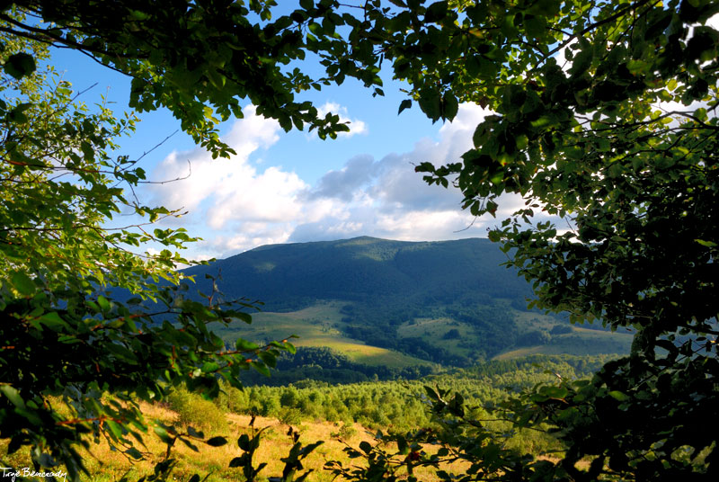 Po�onina Cary�ska