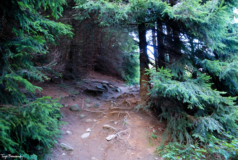 Po�onina Cary�ska