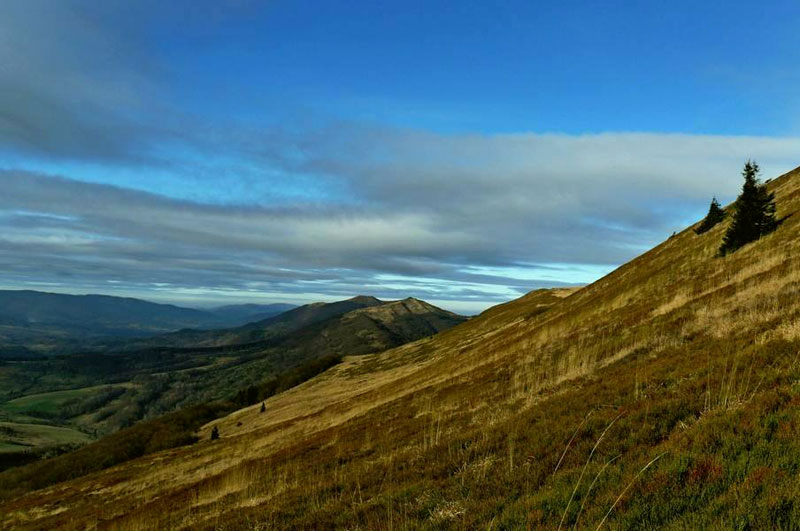 Po�onina Cary�ska