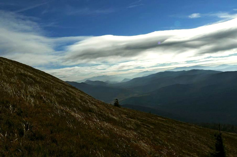 Po�onina Cary�ska