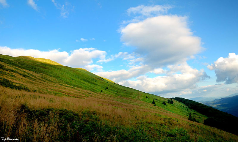 Po�onina Cary�ska