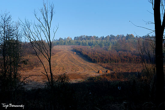 Huczwice jesienią