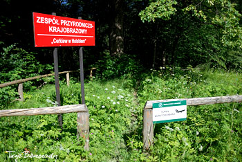 Zespół przyrodniczo-krajobrazowy Cerkiew w Hulskiem