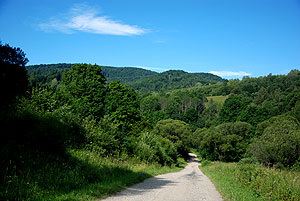 Droga Zatwarnica - Hulskie