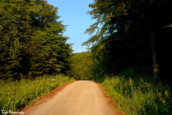 przełęcz żebrak