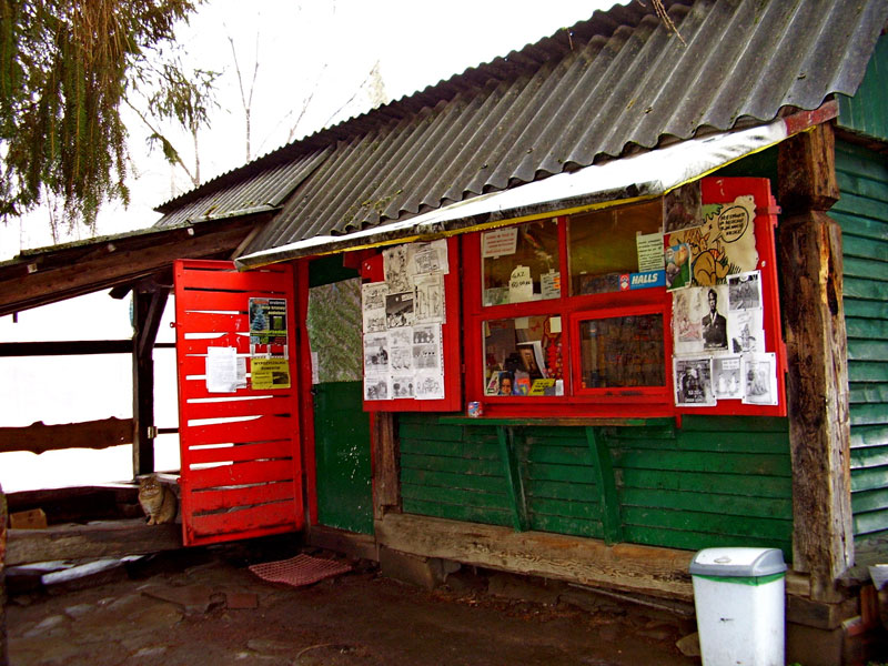 Dwernik, sklep