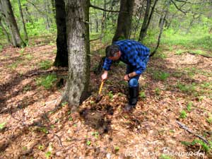 geocaching