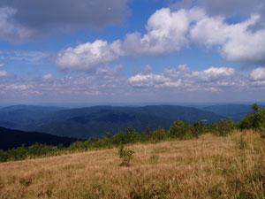 Na Jaśle (1153m n.p.m)