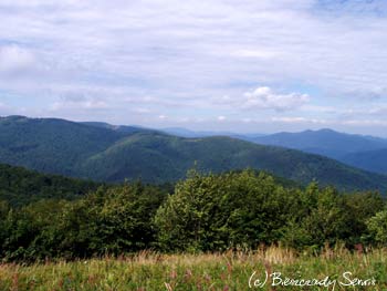 Widok z Fereczatej