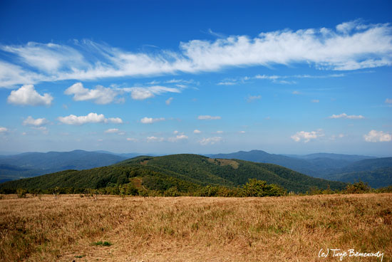 Jasło