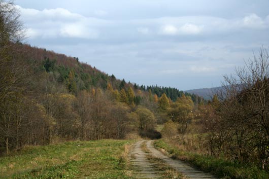 Kamionki jesienią