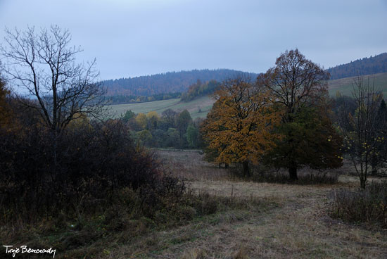 w Kamionkach jesienią