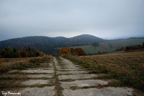 Kamionki jesienią