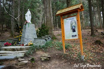 Kapliczka Matki Bożej Leśnej w Komańczy