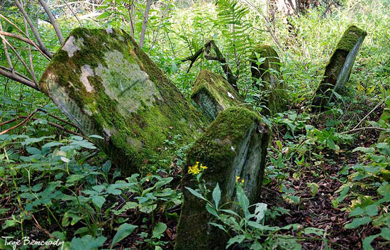 Macewy na kirkucie w Ustrzykach Dolnych