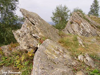 Dwernik Kamień