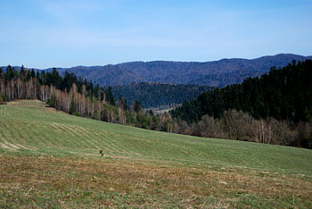 łąki nad Kołonicami