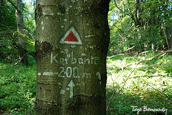 Korbania