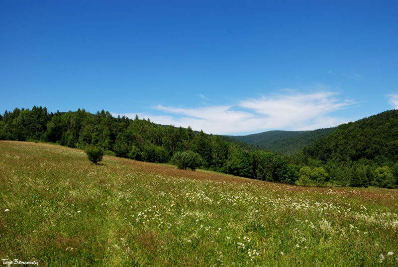 dolina potoku Roztoka