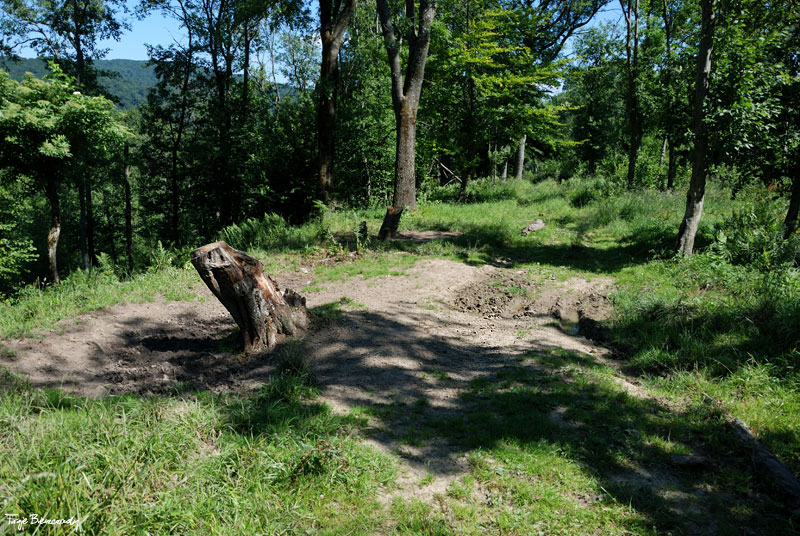 Dilec Horysznia�ski