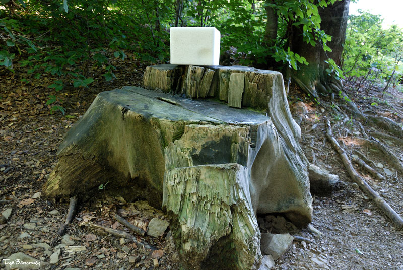 Lizawka powy�ej Dilca