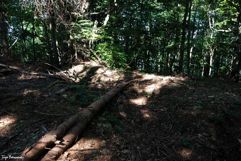 Kr�glica pozosta�o�ci ziemne