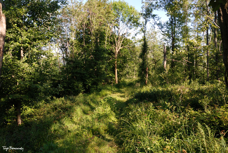 Zej�cie przez Dilec Horysznia�ski