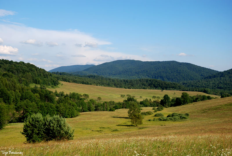 ��ki nad Maniowem