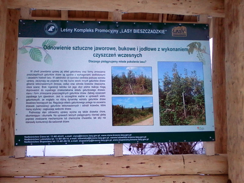 Tablica pogldowa - bieszczadzki las