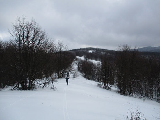 Kurników Beskid